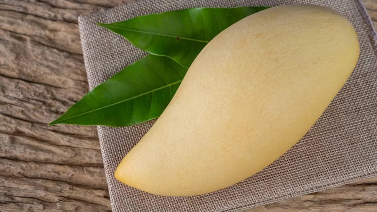 All You Need to Know About African Mango Benefits