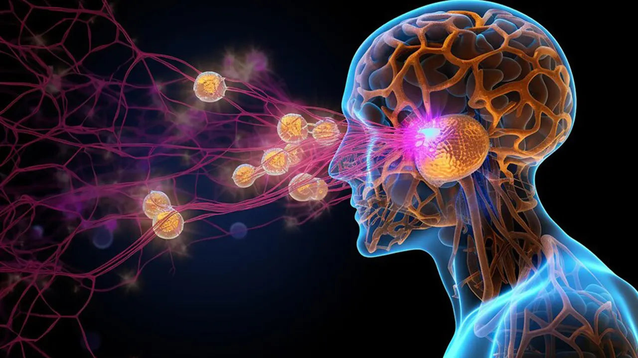 Is it Bad to Take Nootropics Every Day