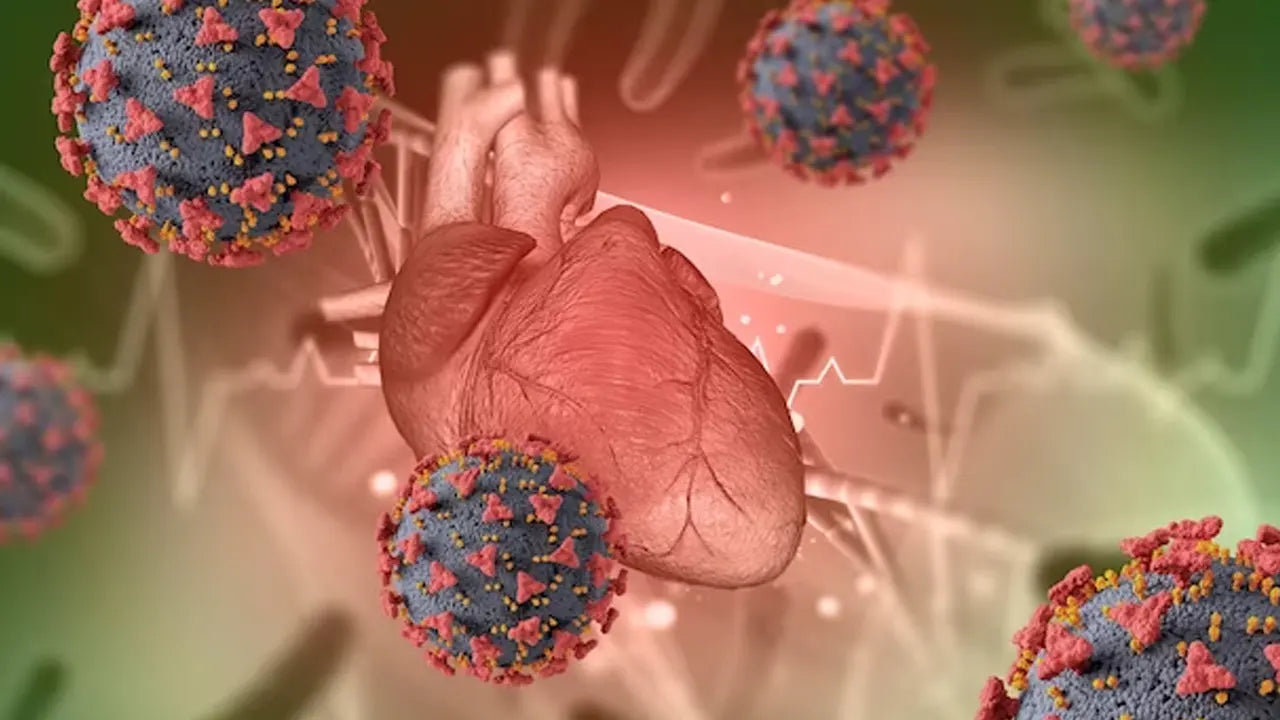 The Surprising Number of Mitochondria in Heart Cells
