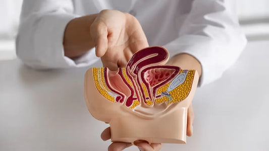 Unlocking the Secrets of Mitochondria in the Heart