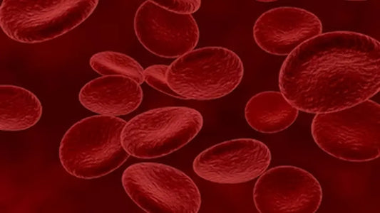 Unraveling the Myth: Does CoQ10 Cause Blood Clots