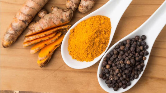 Exploring the Dynamic Duo: Turmeric with Black Pepper Benefits! - OPA NUTRITION