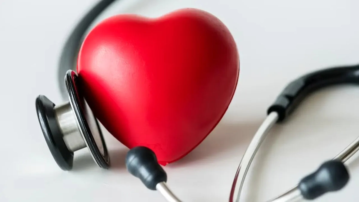 Does the Heart Use Mitochondria