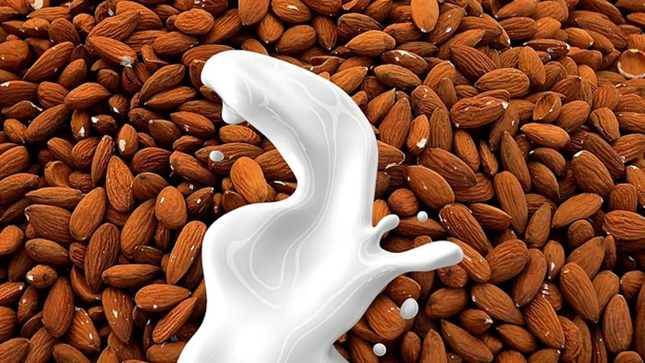 The Alkaline Diet: An Updated Guide for 2023