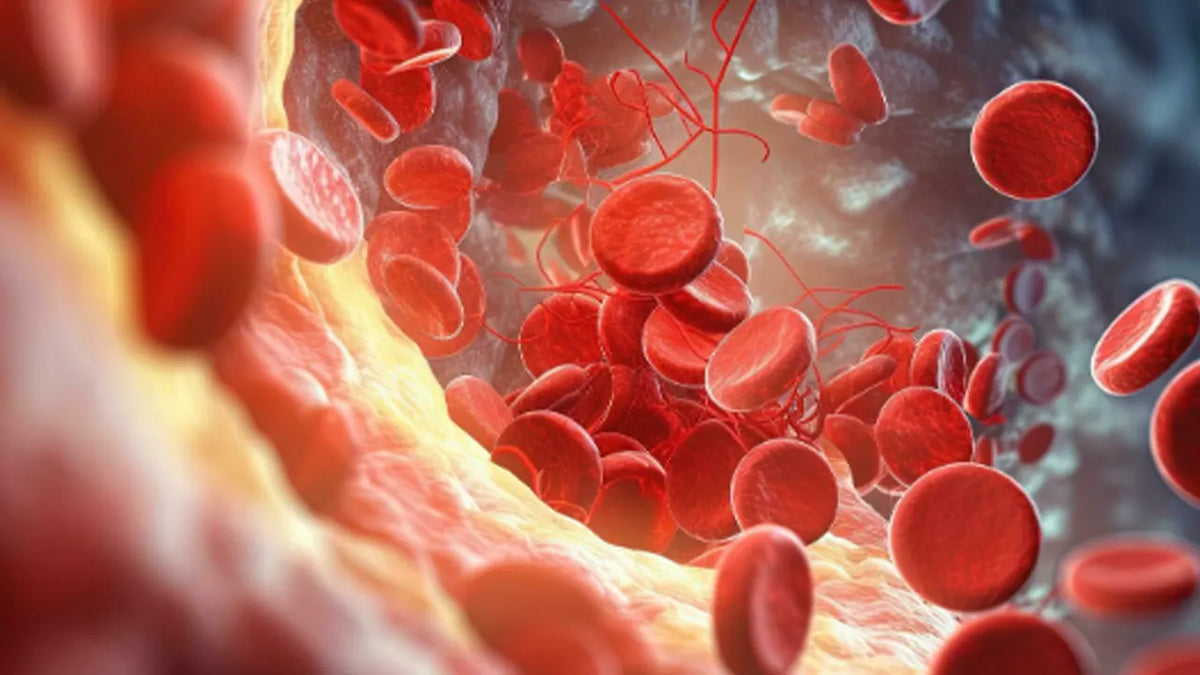 Treatment for High Cholesterol: Symptoms, Causes and Solutions
