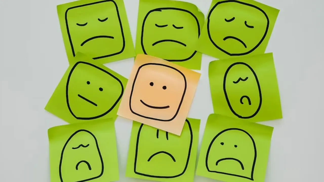 What are the Best Mood Stabilizer Pills? – OPA Nutrition