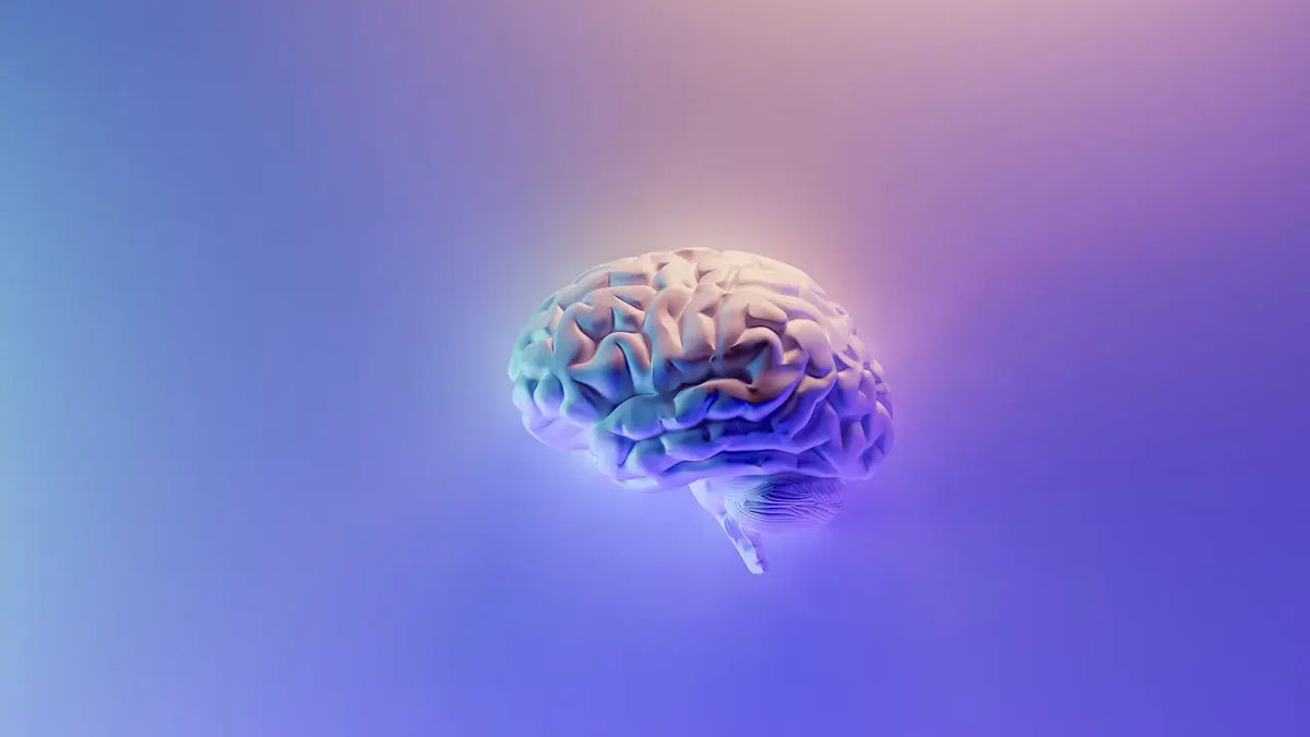 Nootropics