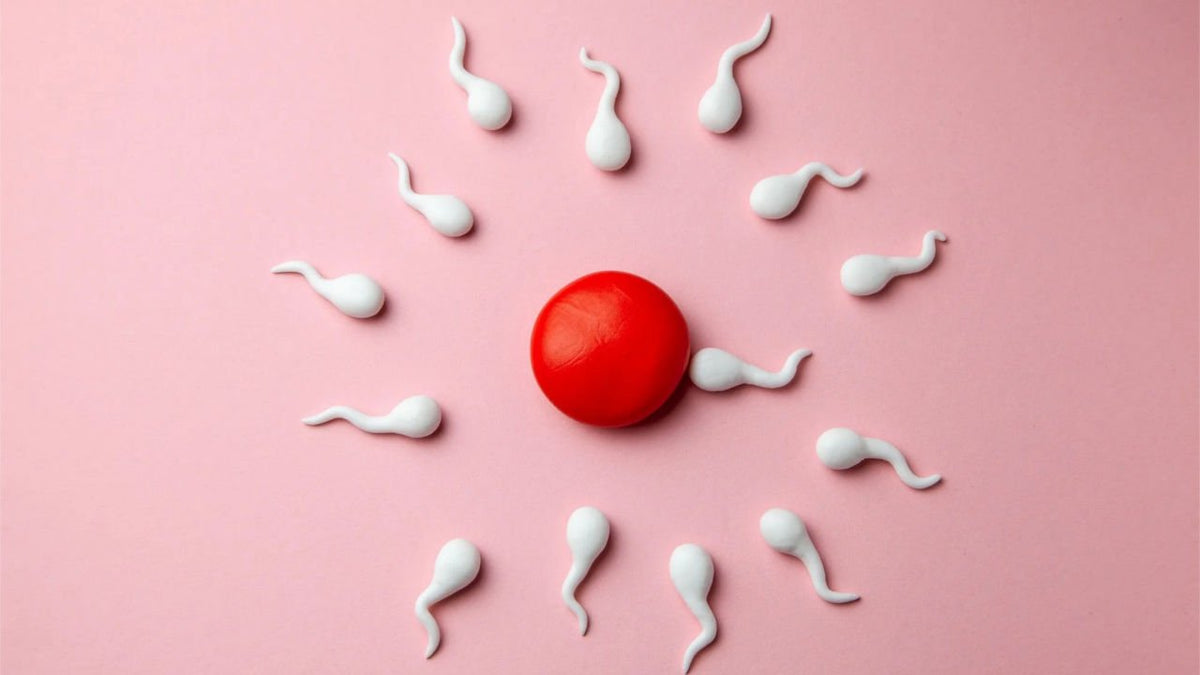 CoQ10 Fertility and What You Need to Know - OPA NUTRITION