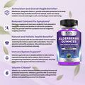 Elderberry Gummies for Immune Support with Zinc, Vitamin C, Kids-Adults - 60 Ct - Infographics