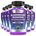 Elderberry Gummies for Immune Support with Zinc Vitamin C Kids-Adults - 60 Ct Pack of 6.jpg